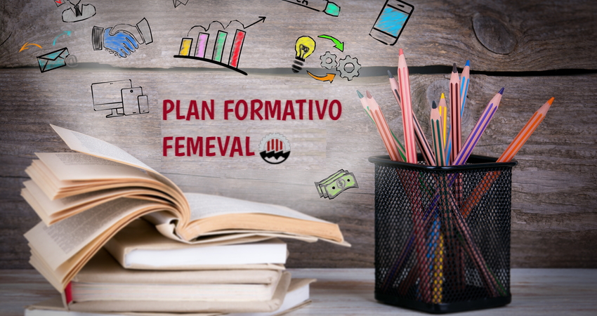 Qu Cursos Componen El Plan De Formaci N De Femeval